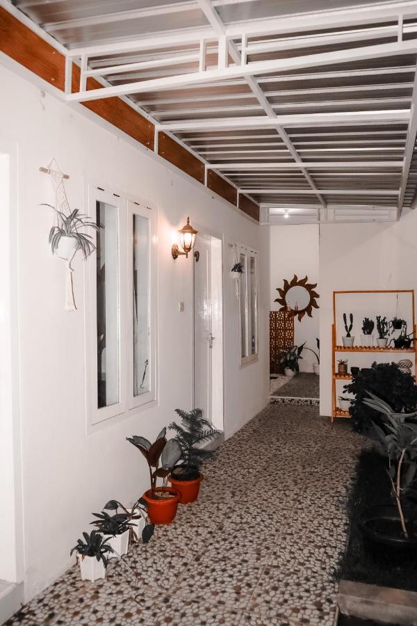 Tropical Paradiso Homestay Banyuwangi  Exteriér fotografie